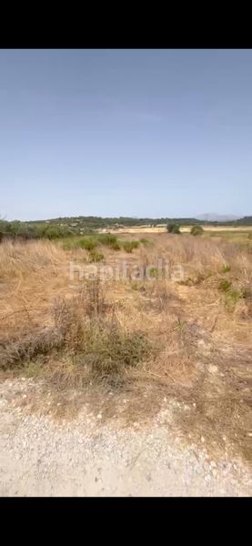 Foto 68c948c0-e08d-4dff-b682-c314c7b5d3a4. Finca rústica a Muro