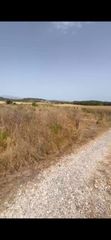 Landgut  N/a. Parcela rustica en muro