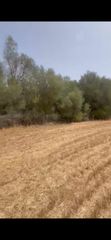 Finca rústica en N/A