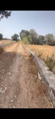 Finca rústica en N/A