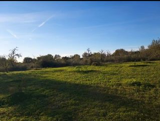 Finca rústica  Camí de son fullana. Terreno rústico de 6.884 m² en son fullana – llucmajor