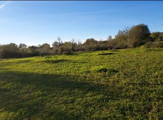 Finca rústica a Camí de Son Fullana