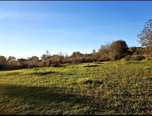 Propriété  Camí de son fullana. Terreno rústico de 6.884 m² en son fullana – llucmajor