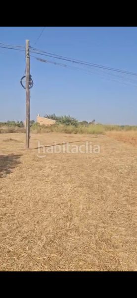 Foto 8bfe5e89-b562-4fa8-af7a-5ae1b61553a1. Finca rústica a Santa María del Camí