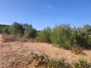 Finca rústica  Carrer major. Oportunidad!!!!!!, dos parcelas rústicas en venta en pórtol