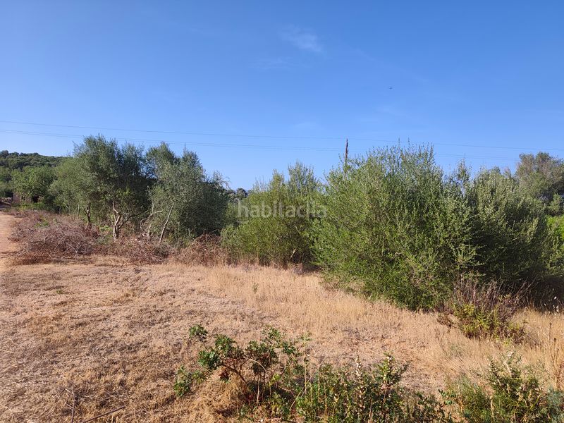 Foto 46fccea3-7716-4b31-877d-837a39570f27. Finca rústica a Pòrtol Marratxí