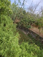 Landgut  N/a. Venta finca en sa pobla,  con olivos y pozo de vena - cami de le