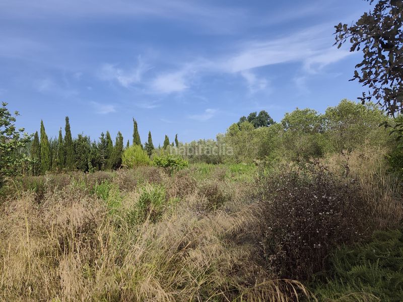 Foto 57f039e2-8673-4ce7-bc4d-fe00d4f919b9. Finca rústica a Sa Pobla