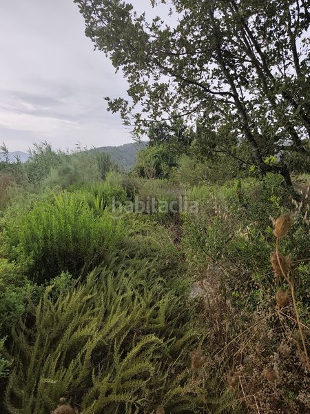 Foto b46ade06-b215-42fa-b52d-dd8e83c2b508. Finca rústica a Sa Pobla