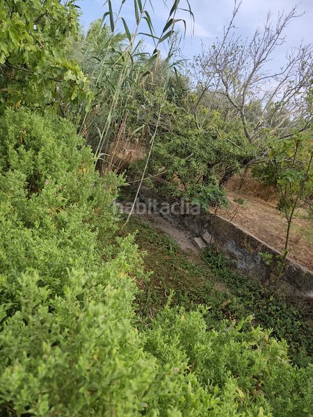 Foto f9ae7b83-71a7-4bed-b71d-f4fb5f627e6c. Finca rústica a Sa Pobla