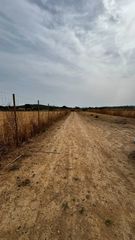 Fondo rustico in Sineu. Terreno rústico en sineu con caravana, placas solares y agua