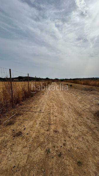 Foto 7d96acfb-52ec-4e78-ae1e-584e507f8a52. Finca rústica a Sineu