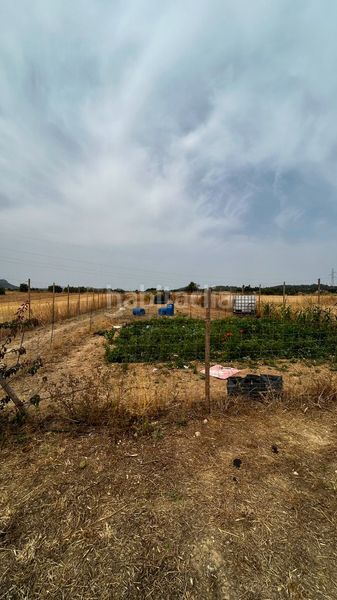 Foto 89760a84-00fc-4e4a-9f1c-ce21ea0c9544. Finca rústica a Sineu