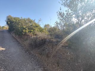 Fondo rustico in Sineu. Terreno rústico en sineu – 1.500 m² aprox. – 15.000 €