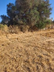 Finca rústica a Santa Margalida Poble
