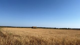 Finca rústica a Colònia Sant Jordi
