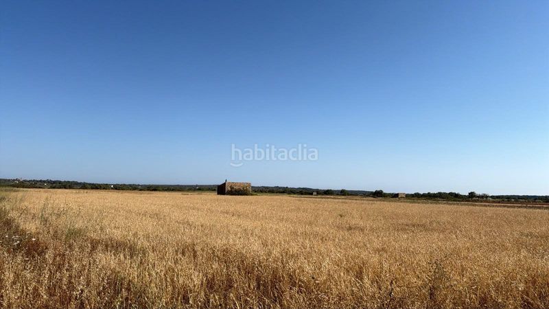 Foto 131fa9c9-1627-49f3-a488-1a17d880b019. Finca rústica a Colònia Sant Jordi Ses Salines