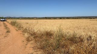 Finca rústica a Colònia Sant Jordi