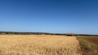 Finca rústica a Colònia Sant Jordi