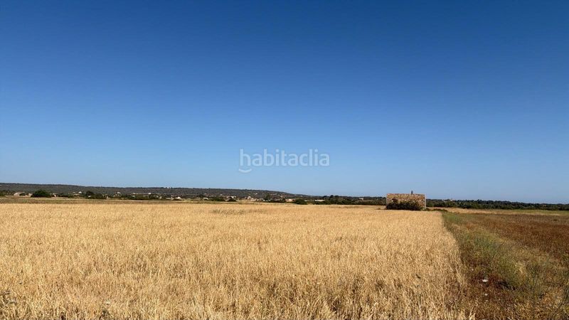 Foto 9a7bfb75-ea71-4abd-828d-1a20f1ce71b2. Finca rústica a Colònia Sant Jordi Ses Salines