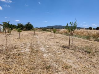 Landgut  Carrer del consistori. Oportunidad por solo 24.500€, terreno con pozo de vena en sant j