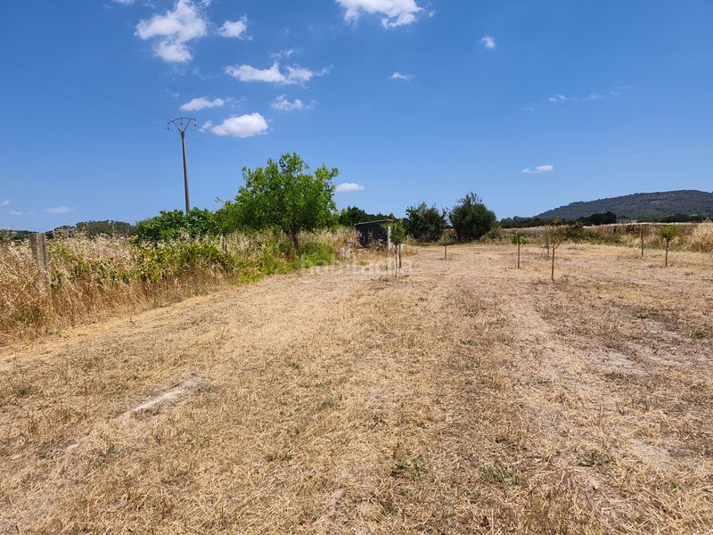 Foto 00c8cafe-f2a0-470a-b79f-bfa509060373. Finca rústica a Sant Joan
