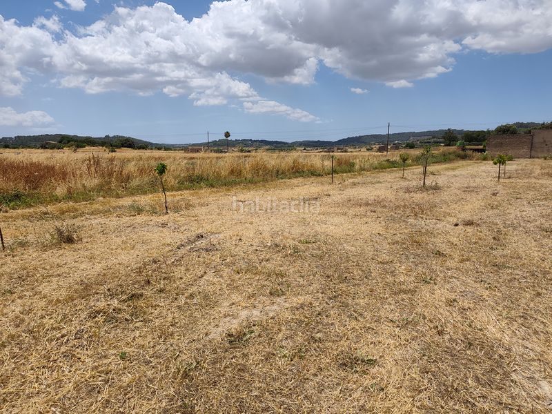 Foto dcfc164c-cab9-486c-bfc2-355a652cf31a. Finca rústica a Sant Joan