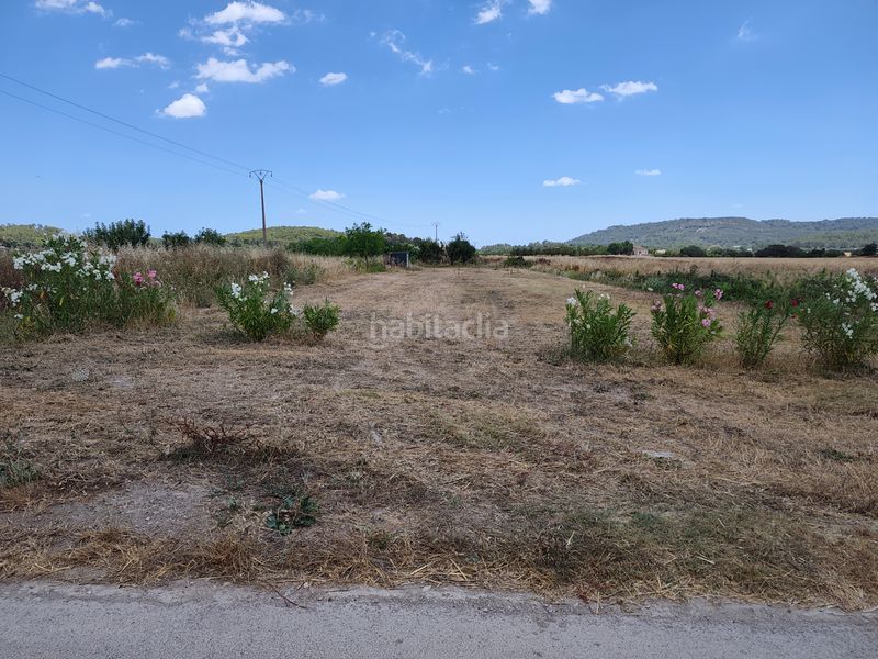 Foto fb719b11-5bb7-4268-bb32-ecec508478eb. Finca rústica a Sant Joan