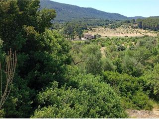 Terreny residencial a Calvià Poble