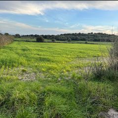 Rural plot in Carrer de bonany 67. Terreno rustico no edificable en villafranca de bonany