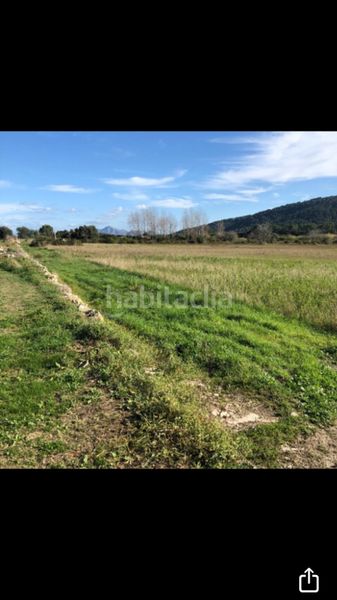 Foto d770fd9f-4c42-4710-8884-545fcab35c79. Finca rústica en n/a terreno rústico no edificable en pollensa en Pollença