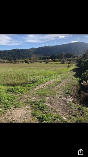 Foto eeeed8bd-ebb9-4a14-95d7-b406965506f0. Finca rústica en n/a terreno rústico no edificable en pollensa en Pollença