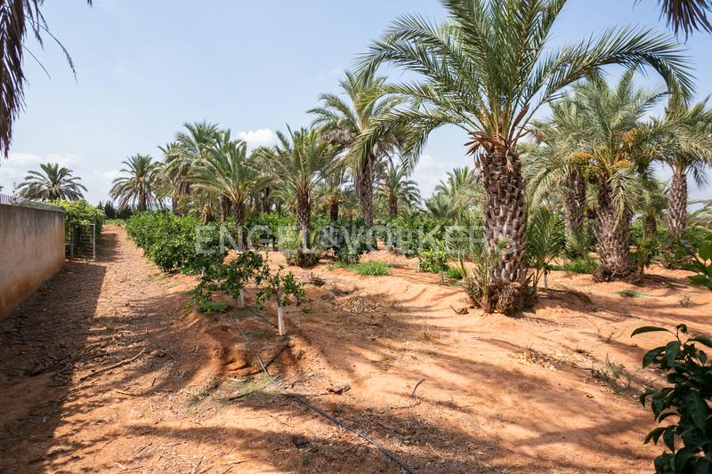 Foto 760e4777-2657-4e4c-bfbd-826ccc4741fe. Casa con riscaldamento parcheggio piscina in Gallipont Pobla de Vallbona (la)