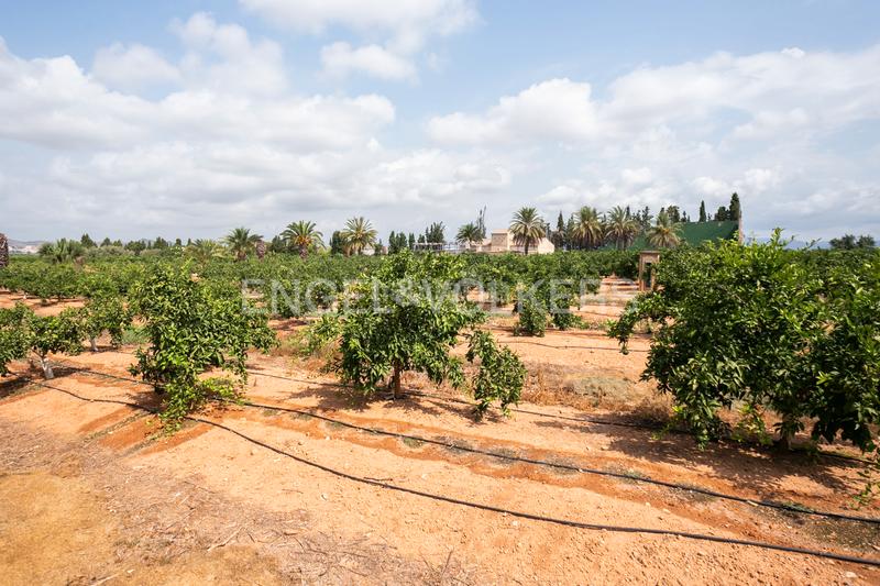 Foto b6099069-eb51-423f-9c54-958dc22a554b. Casa con riscaldamento parcheggio piscina in Gallipont Pobla de Vallbona (la)