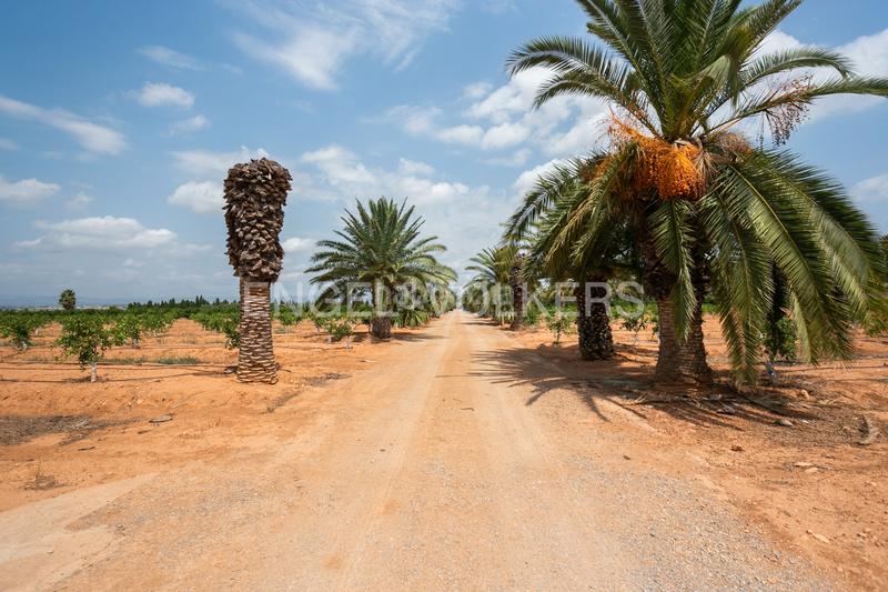 Foto de5c2365-b8e6-463f-b41b-0e788ec2b713. Casa con riscaldamento parcheggio piscina in Gallipont Pobla de Vallbona (la)