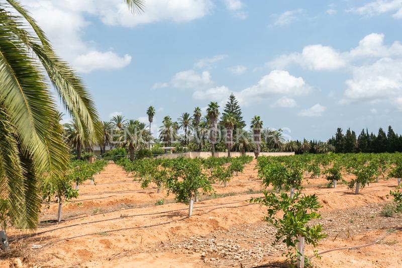 Foto e355ce5b-a402-4431-ba61-bf75c50defac. Casa con riscaldamento parcheggio piscina in Gallipont Pobla de Vallbona (la)