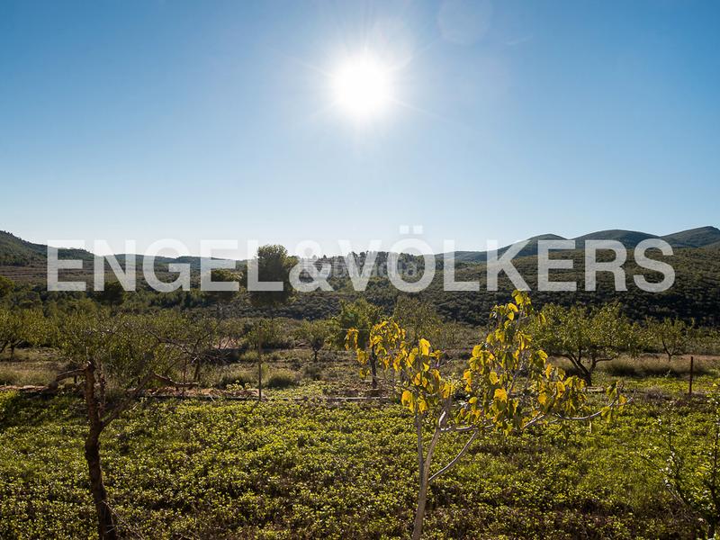 Foto 4bc5a16f-c0b6-45d2-9743-28e776af009c. Masía excepcional masía en Segorbe