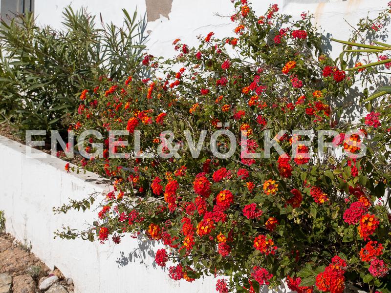 Foto 7fcbfc23-07fc-4f77-89ba-80b1eb814763. Masía excepcional masía en Segorbe