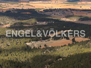 Masia a Ayora. Gran finca de recreo y caza en ayora