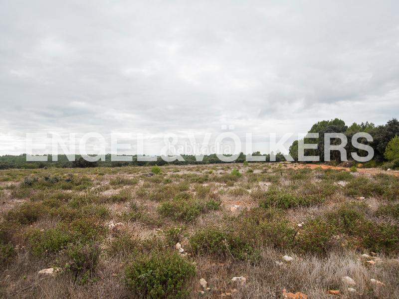 Foto 0cf102c0-3d4b-499a-8405-c7d0d7fdc826. Terreno residencial enorme finca de caza en Requena