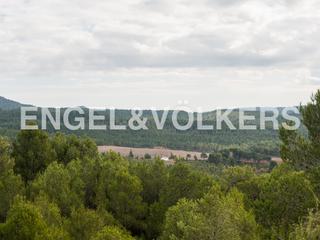 Terreny residencial a Requena. Enorme finca de caza en requena