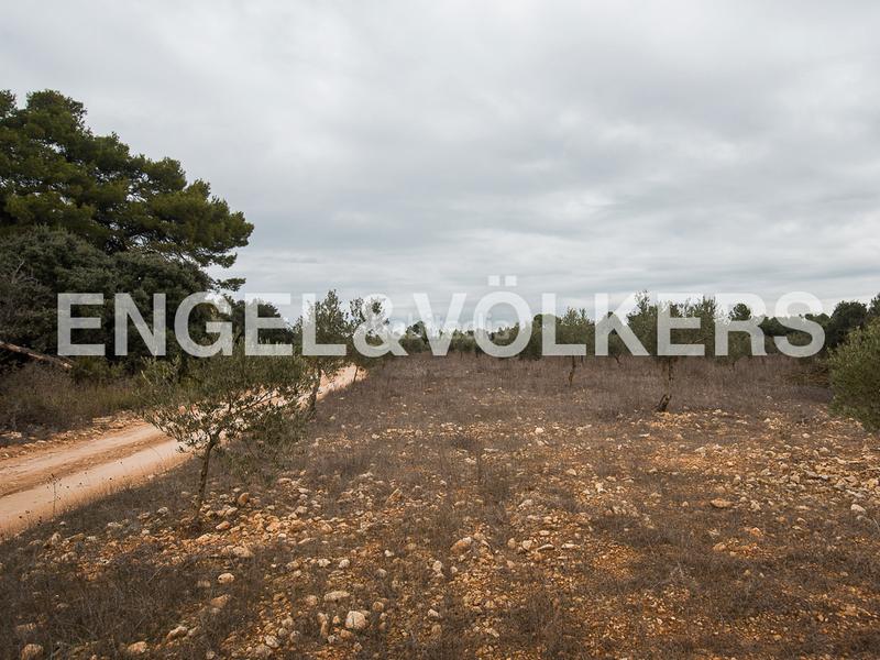 Foto 222566df-7a52-4666-9ed9-6da0ee735b10. Terreno residencial enorme finca de caza en Requena