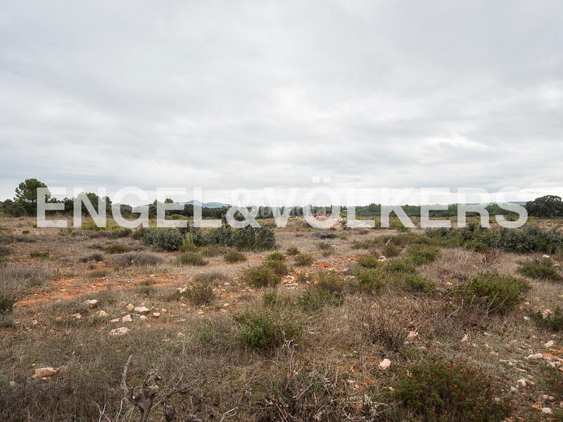 Foto 7402979d-1c3c-44d7-85fc-c33327e7bc6b. Terreno residencial enorme finca de caza en Requena