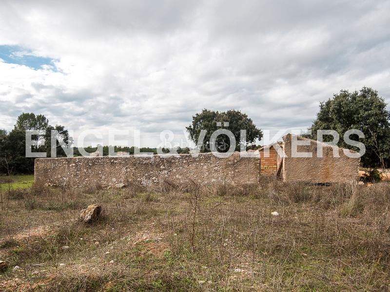 Foto 9fb05f04-6386-4ed6-a694-fd5ac6309cf9. Terreno residencial enorme finca de caza en Requena