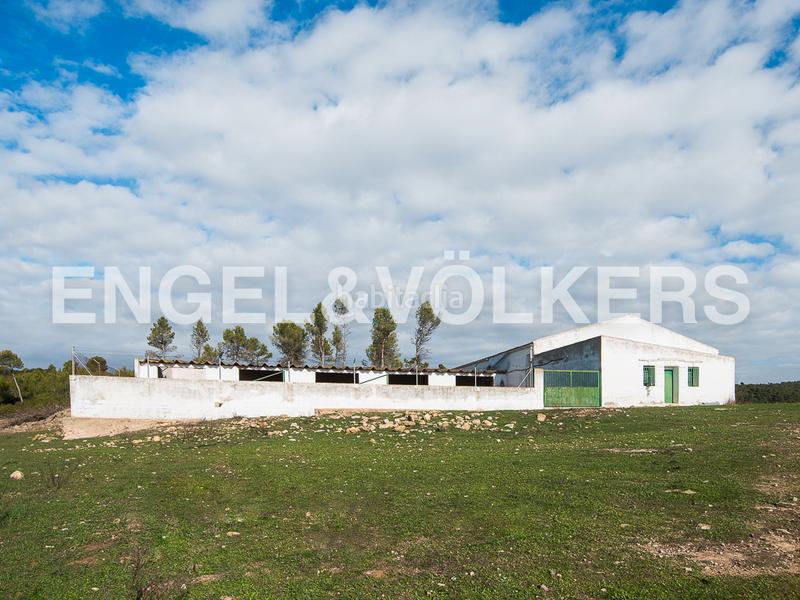 Foto b6a7f289-a15e-418f-8212-ee4b00ca0e9a. Terreno residencial enorme finca de caza en Requena