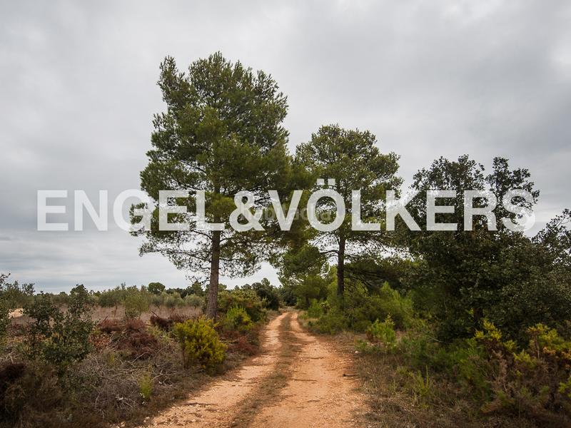 Foto b89e0021-4315-4f08-bcc6-52938a17c84c. Terreno residencial enorme finca de caza en Requena