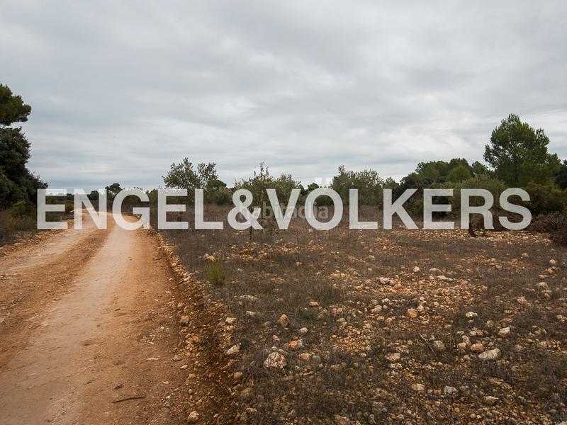 Foto d1d6e8cf-638e-44fd-87de-bfaddc4c8c33. Terreno residencial enorme finca de caza en Requena