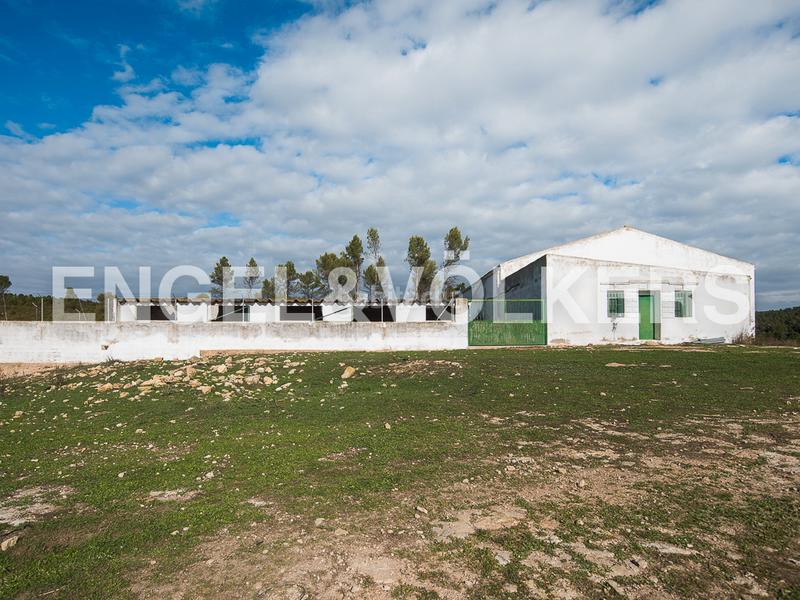 Foto db176bae-af6f-4a7d-a276-64d246bd88c3. Terreno residencial enorme finca de caza en Requena