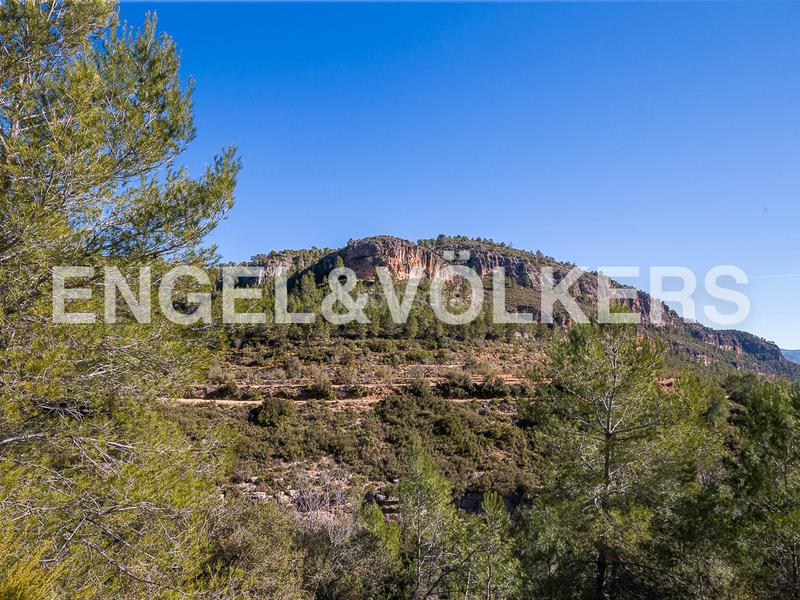 Foto 1e321619-0fe2-4926-a914-e669b83a746d. Terreny residencial a Moixent