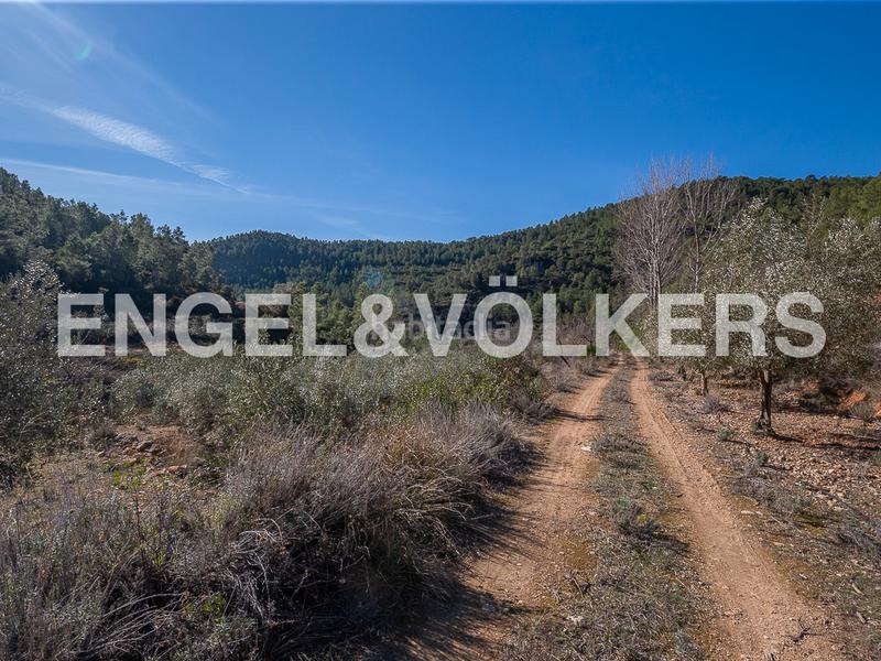 Foto 355ff66d-e4a5-4c2a-8d9b-63f6f28e0327. Terreny residencial a Moixent